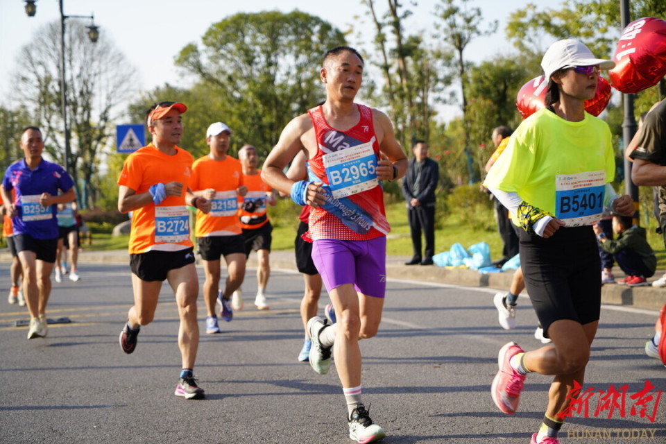 灰马, 之乡 灰马, 之乡