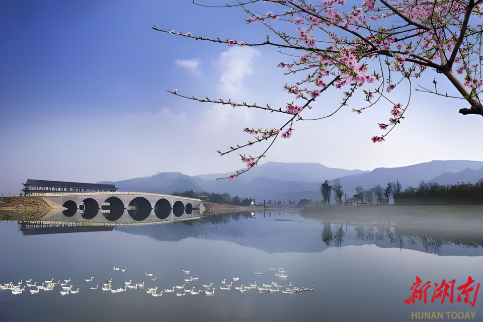 有意向的跑 有意向的跑